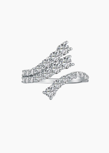 The Carved Arch Ring