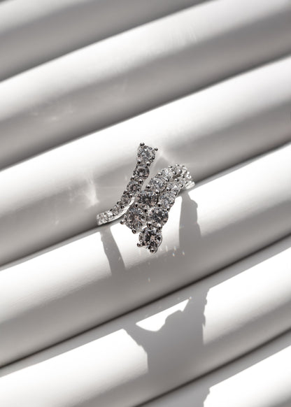 The Carved Arch Ring